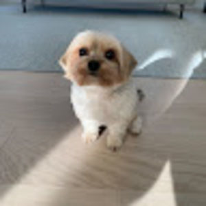 Meet your Posher, James